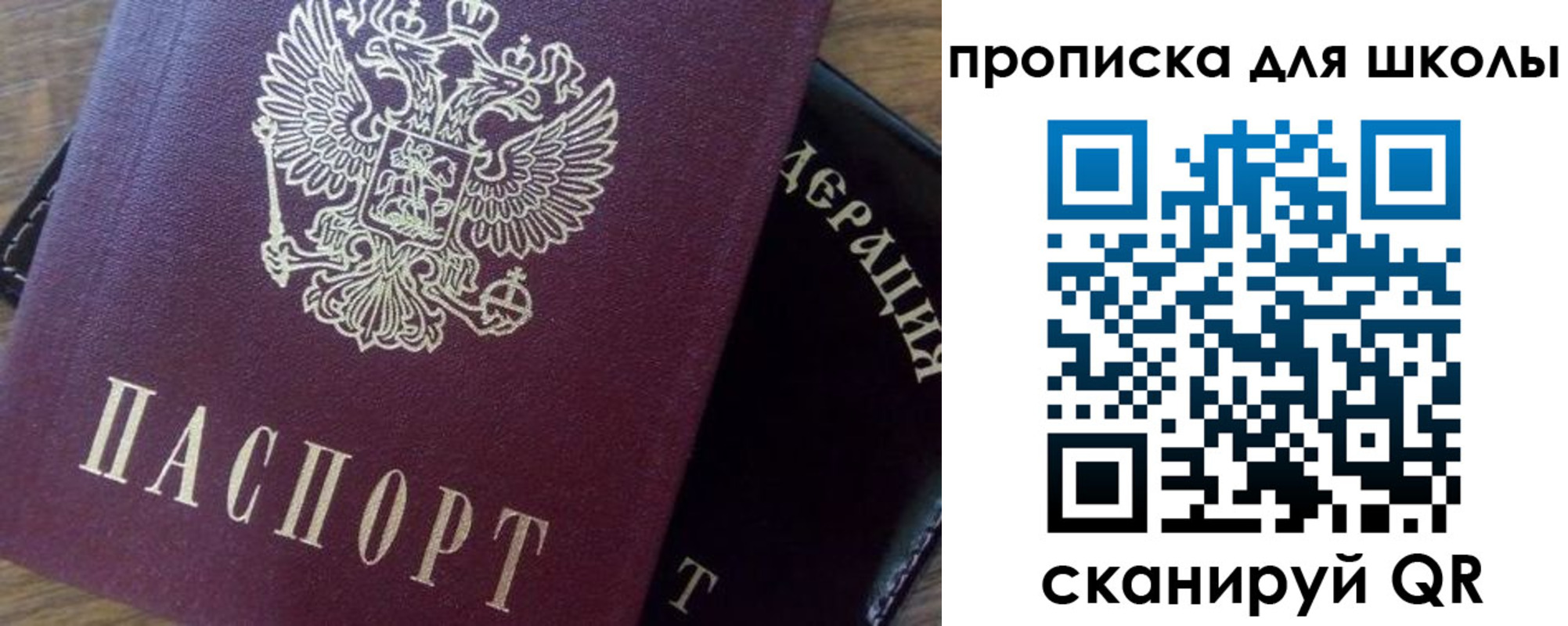 миграционный учет в Светлогорске